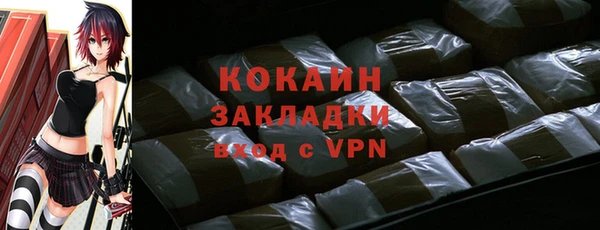 прущие грибы Ельня