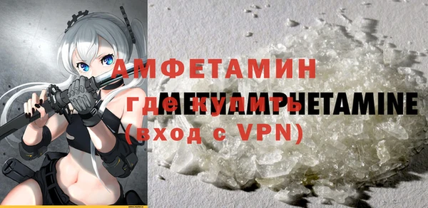 прущие грибы Ельня
