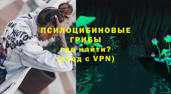 спиды Дмитриев