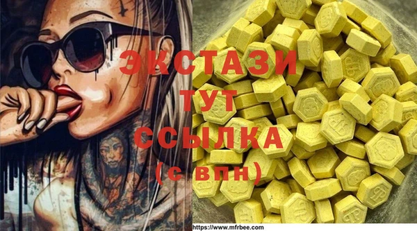 прущие грибы Ельня