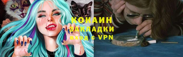 спиды Дмитриев