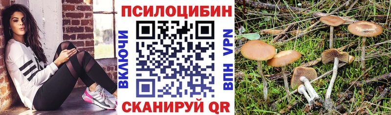 купить наркоту  Заринск  Псилоцибиновые грибы Psilocybe 