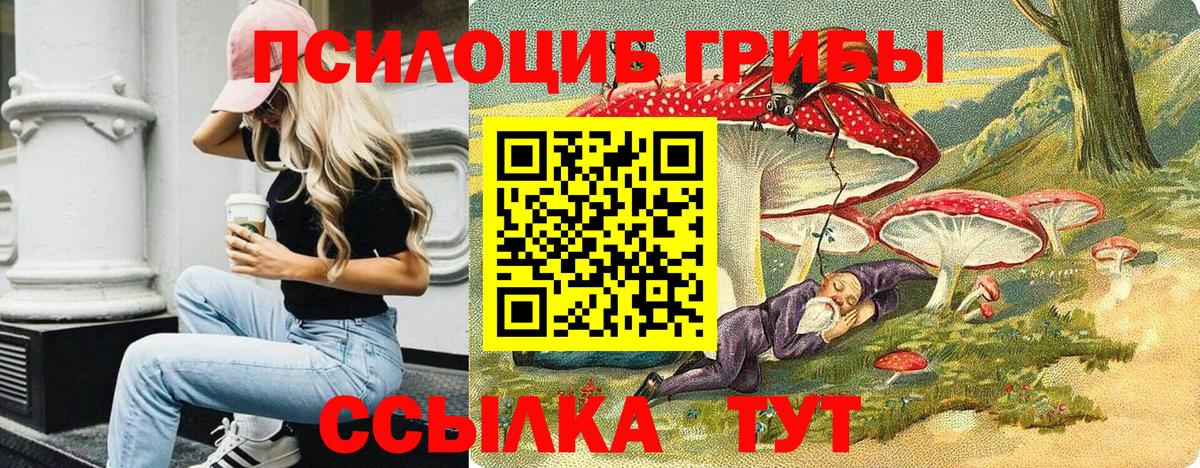 Заринск  Галлюциногенные грибы прущие грибы  где найти   Вход с VPN 